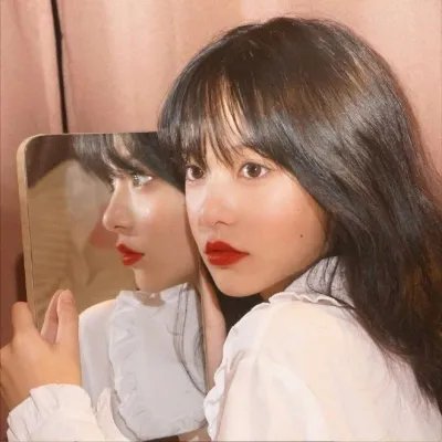 野性的邂逅